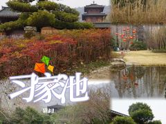 -习家池