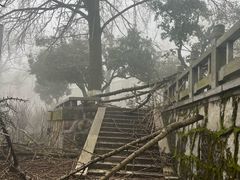 -岳麓山风景名胜区