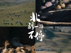 -新疆那拉提国家旅游度假区