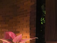 -鱼翅楼·津派砂锅鱼翅(水上公园店)