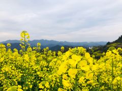 -石潭村