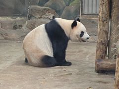 -杭州少年儿童公园