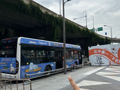 -帕帕拉兹宠物(亚洲旗舰店)