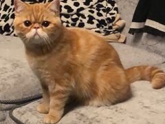 -曹丞相·地锅鸡·地锅鱼(武林店)