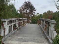 -昆山城市生态森林公园