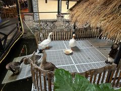 -优之名鹅城