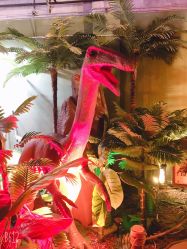 -恐龙探索乐园(磁器口店)