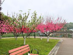 -月湖风景区