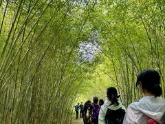 -南京市无想山景区