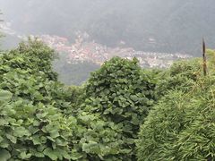 -藏龙百瀑风景区