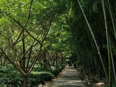 -九龙潭景区