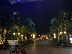 -三亚海昌梦幻海洋不夜城