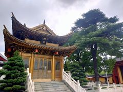 -上海东林寺(金山区)