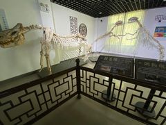 -自然谷恐龙园