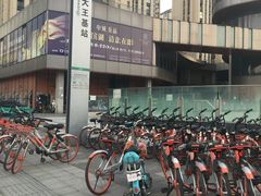 -大王基(地铁站)