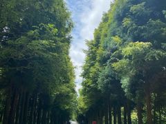 -山王坪喀斯特国家生态公园