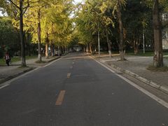 -四川大学(望江校区)