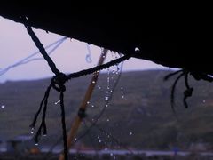 -北岐滩涂