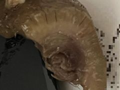 -六合猪头肉(科巷店)