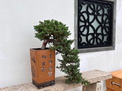 -稍可轩博物馆餐厅