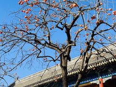 -北京石刻艺术博物馆(五塔寺)