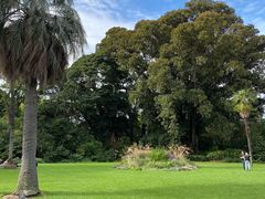 -墨尔本皇家植物园