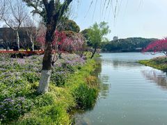 -圩墩遗址公园