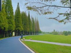 -宜兴龙背山森林公园