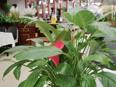 -红菜坊·烤鸭·川鲁宴(石园店)
