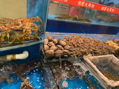 水产区-谊荣海鲜大牌档(石湖店)
