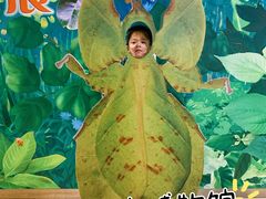 -上海昆虫博物馆