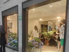 -Apollo·西班牙小酒馆(安福路店)