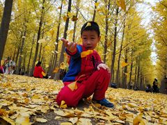 -汉景帝阳陵博物院