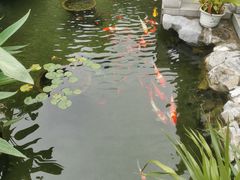 -香雪海饭店中餐厅(人民桥店)