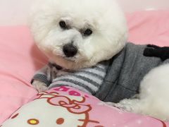 -爱侣宠医·鹦鹉专科·小型哺乳类·异宠专科(灵石路店)