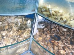 -蓝珊甄选海鲜自助·火锅大排档(近阿那亚店)