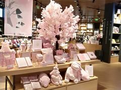 -九木杂物社(恒隆广场店)