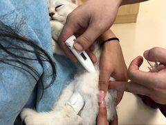 -美联众合动物医院·24h京西诊疗中心