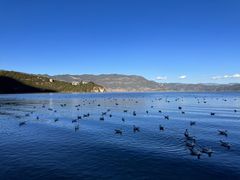 -丽江泸沽湖景区