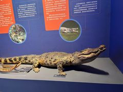 -浙江自然博物院(杭州馆)