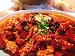 -茅庐毛血旺(烟台大悦城店)
