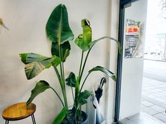 -常识咖啡common sense(春熙路店)