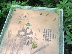 -杭州半山国家森林公园