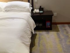 -成都金河宾馆(宽窄巷子店)