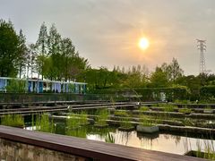 -仙游岛公园