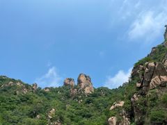 -大岭沟猕猴桃谷风景区