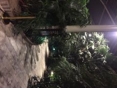 iphone_upload_pic-龙达温泉生态城