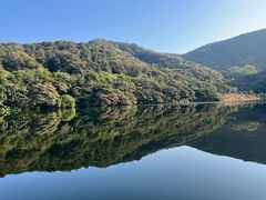 -黄埔油麻山森林公园