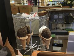 -野人先生Gelato(上海长宁龙之梦店)