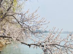 -颐和园
